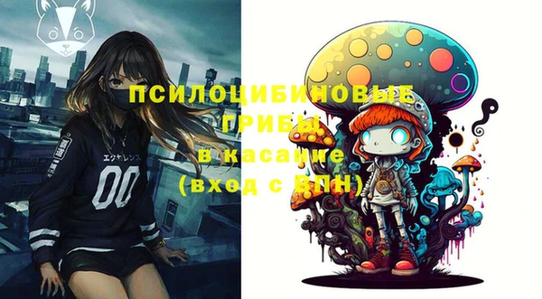 молекула духа Баксан